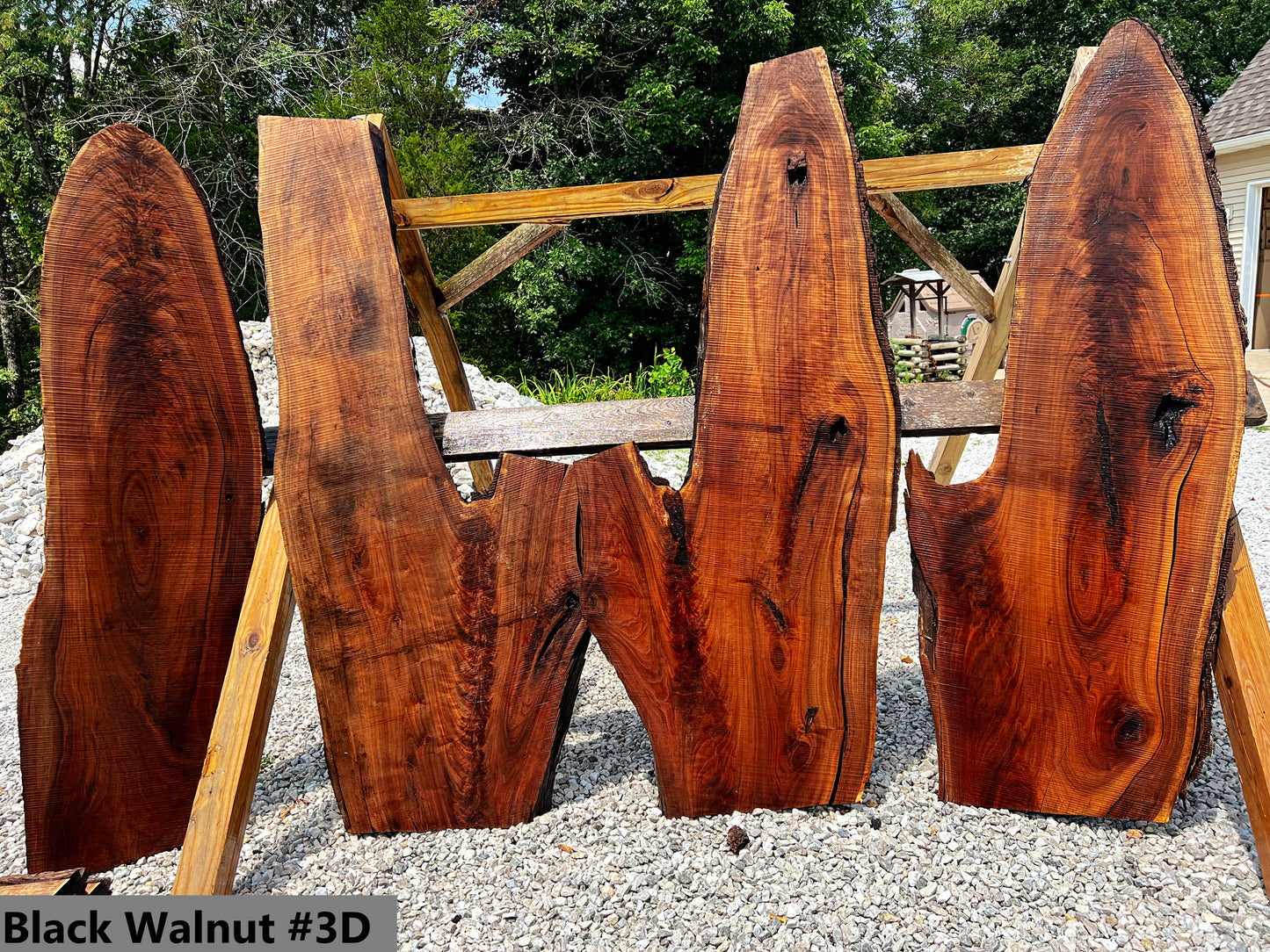 Black Walnut #3D