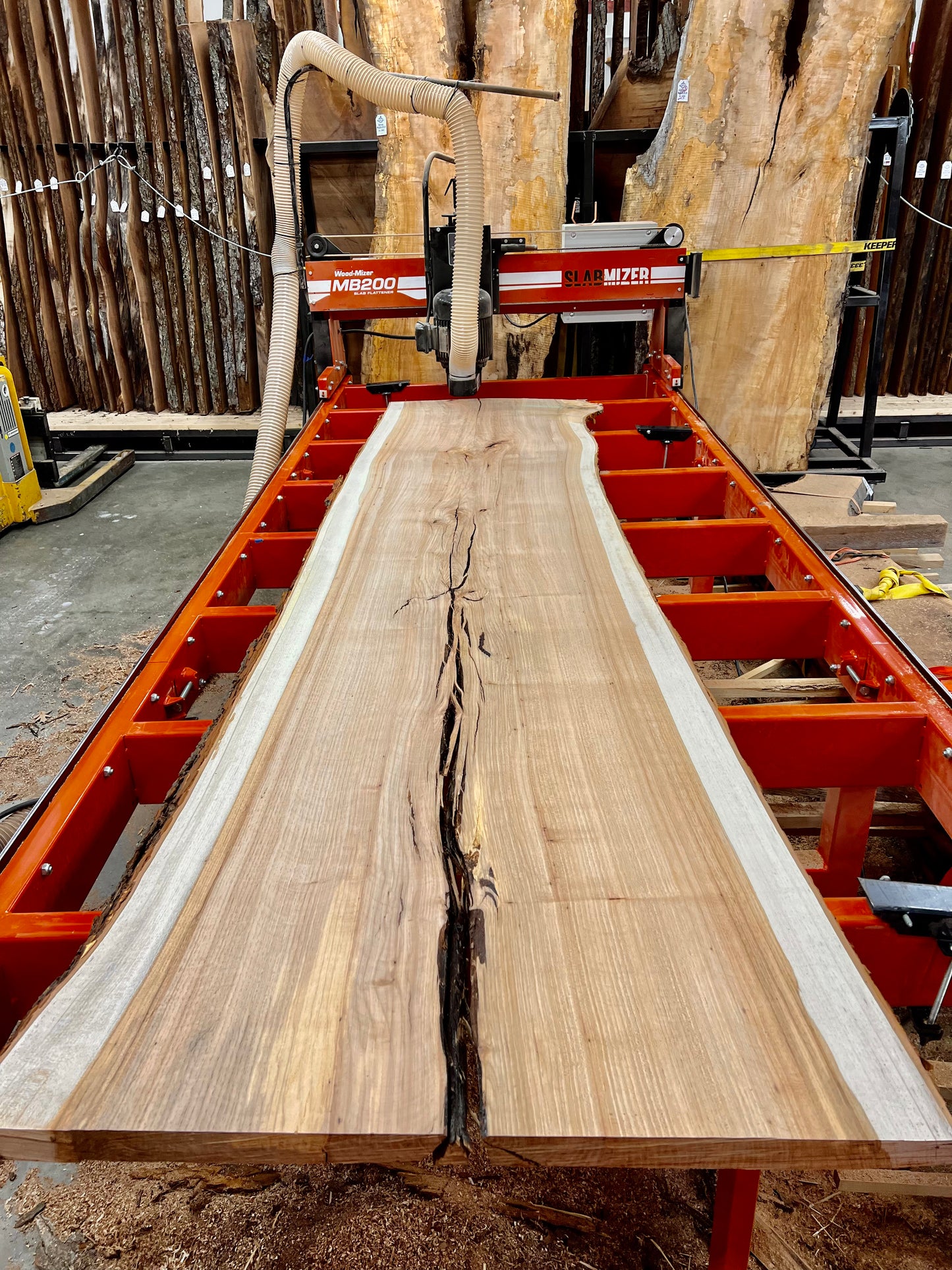 Pecan #1