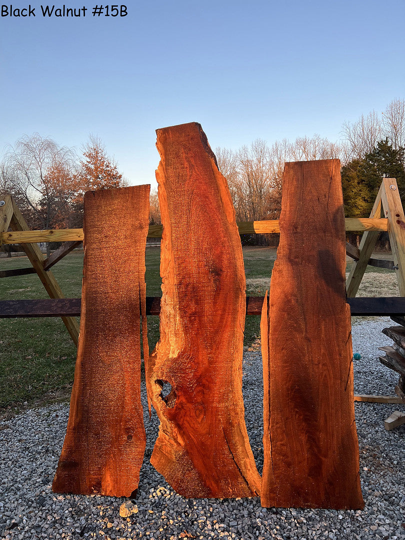 Black Walnut #15B