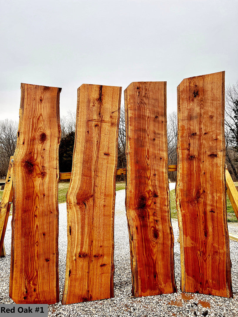 Red Oak #1