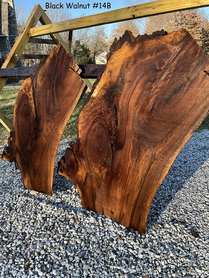 Walnut Wood Slabs