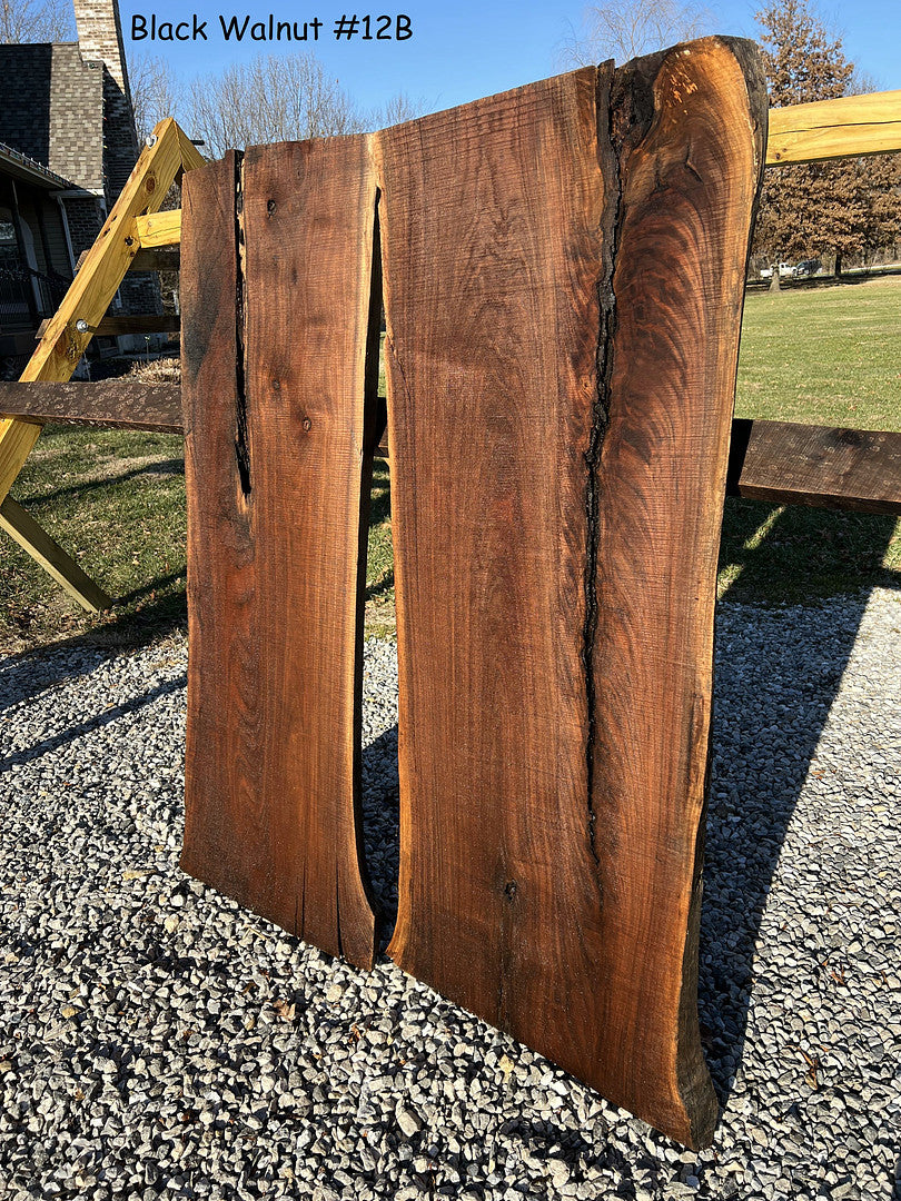 Black Walnut #12b