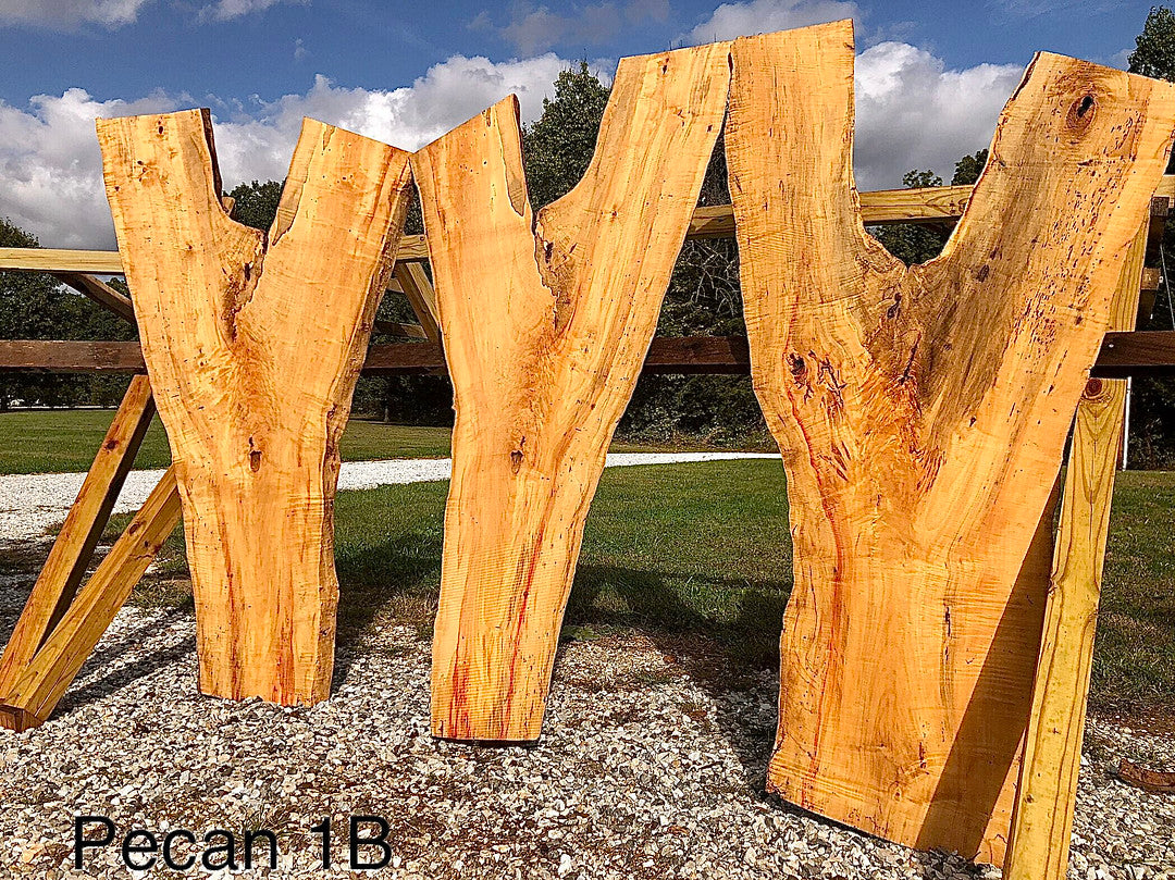 Box Elder #1B