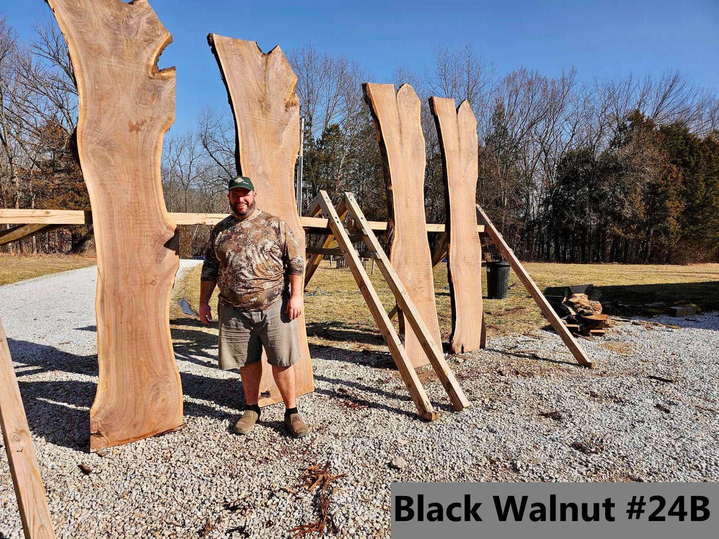 Black Walnut #24B