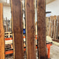 Black Walnut #3