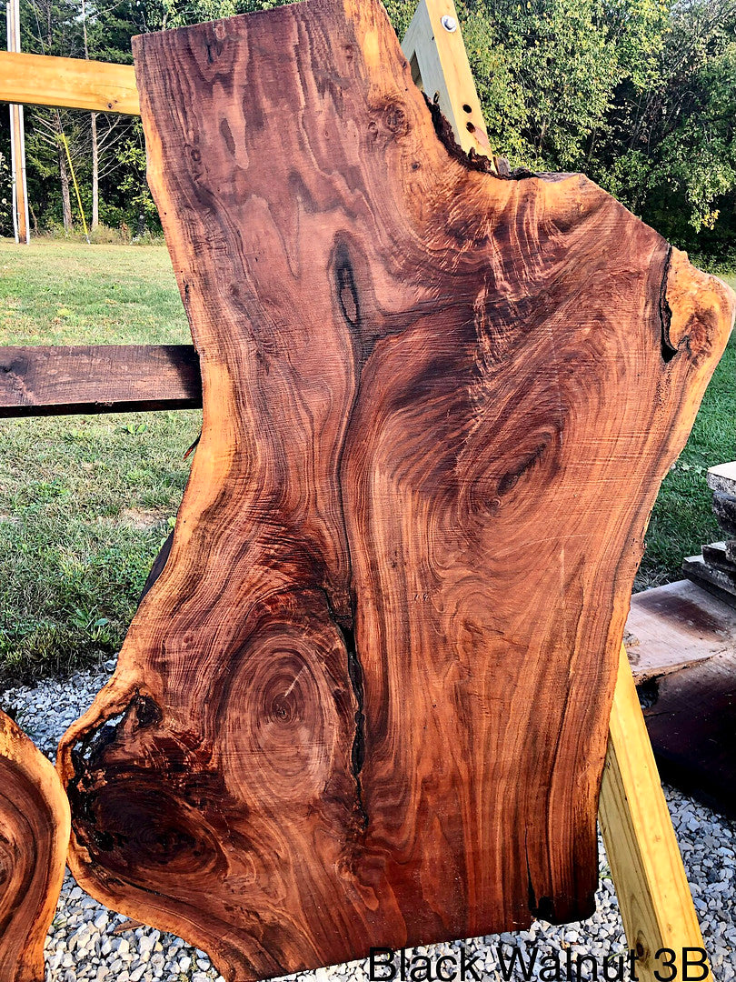 Black Walnut #3b