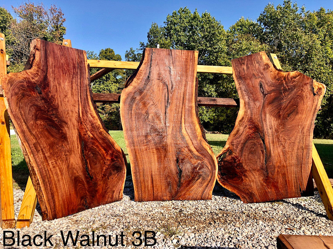 Black Walnut #3b