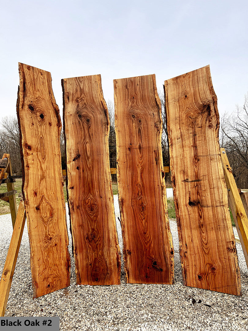Black Oak | live edge wood | reclaimed wood slabs | kiln dried wood for  sale | trusted wood suppliers | woodworking source
